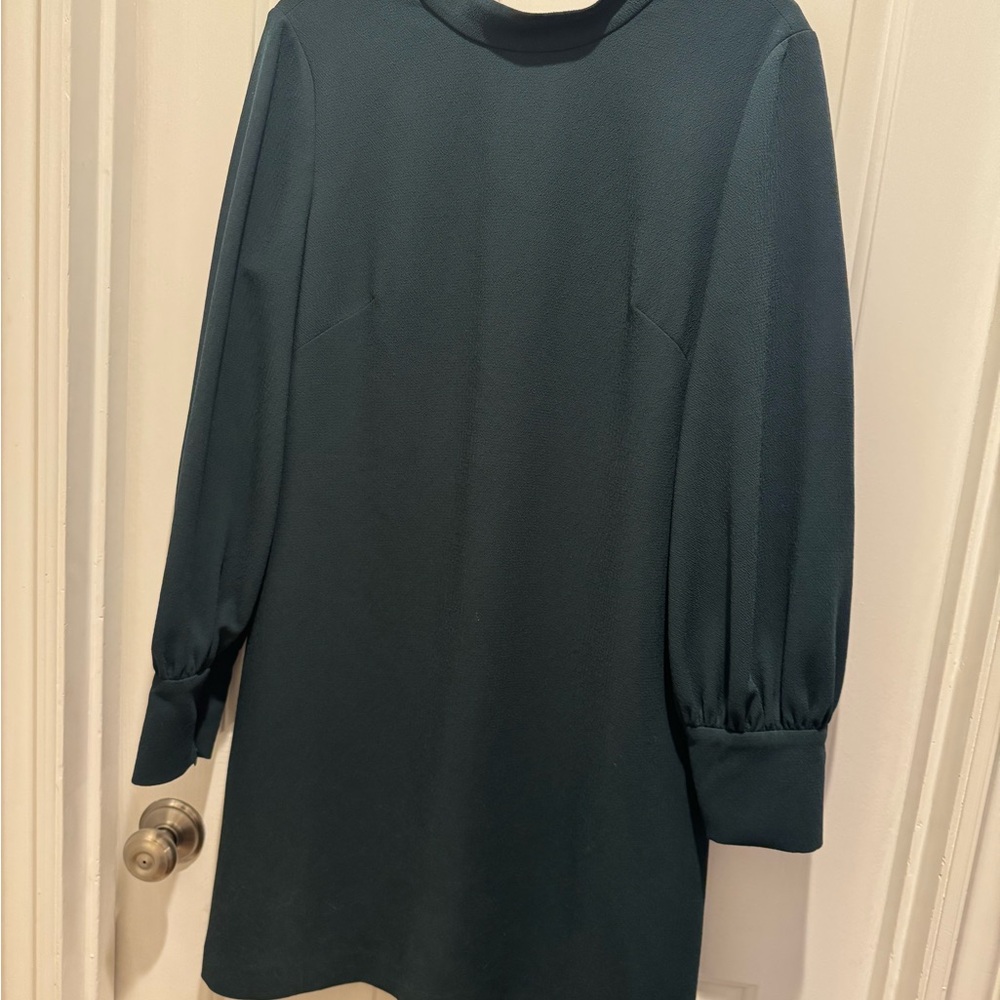 Eliza J Hunter Green Long Sleeve Dress